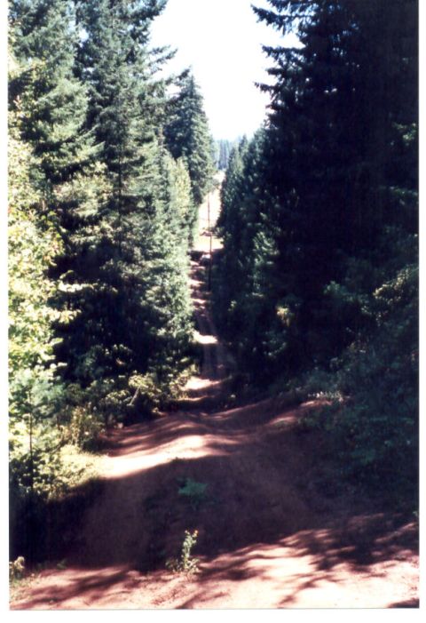 1989 Ford Bronco - This hill was hard to walk up!!!