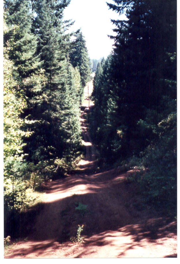 This hill was hard to walk up!!!
