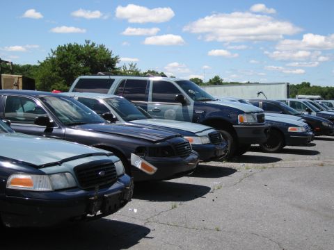 1991 Ford LTD Crown Victoria - Multiple police vehicles are lined up in an outdoor lot, with one car's hood open.
