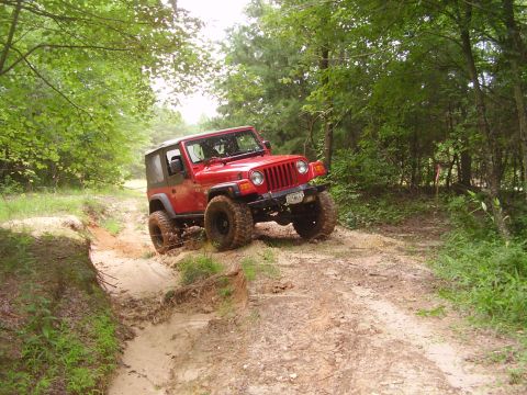 1991 Ford Bronco - A red Jeep Wrangler tackles a challenging muddy path through a wooded area.