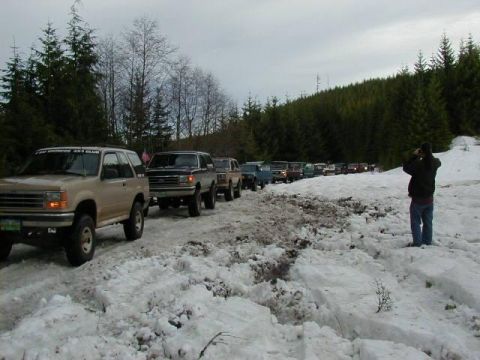 1989 Ford Bronco - Another veiw of the line of trucks (pic from Anne K.)