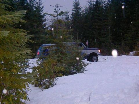 1989 Ford Bronco - Found our tree up in the snow, nice Noble fir