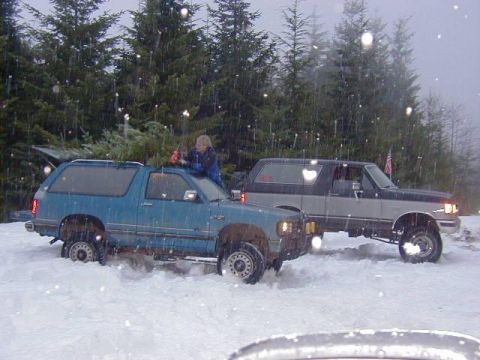 1989 Ford Bronco - Parked by Ross L. while cutting the tree