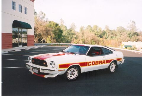 1975 Ford Mustang - This is my 78 Cobra II