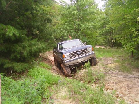 1991 Ford Bronco - This 1991 Ford Bronco is shown off-roading on a dirt path surrounded by trees.