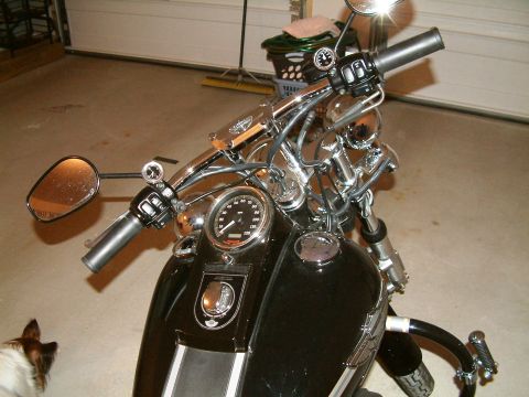 2003 Harley-Davidson Softail photo