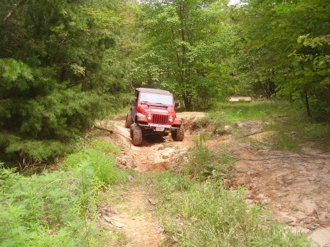 1991 Ford Bronco - A red Jeep Wrangler navigates a muddy, off-road trail surrounded by dense green forest.