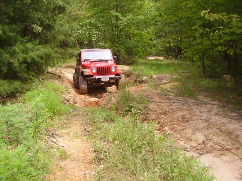 1991 Ford Bronco - A red Jeep Wrangler navigates a muddy trail surrounded by lush green foliage.