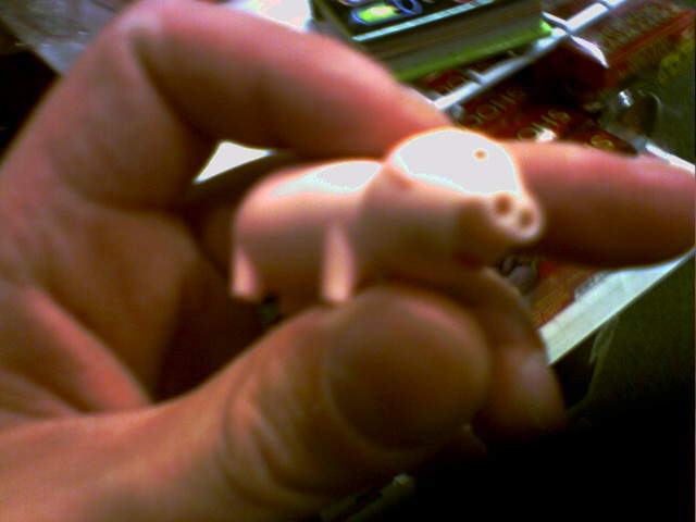 Hand holding a small pink toy pig