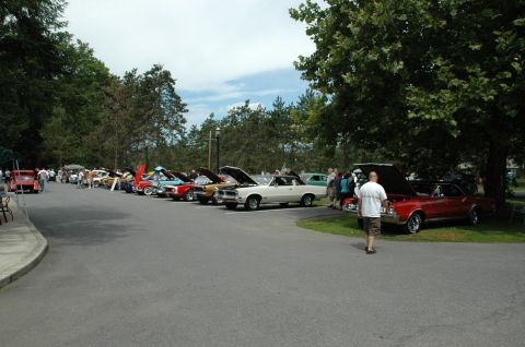 2000 Ford Mustang - A variety of vintage automobiles are displayed at an outdoor event.