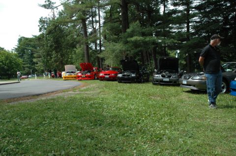 2000 Ford Mustang - Several Ford Mustangs are lined up on a grassy area, with some hoods open, suggesting a car show or gathering.