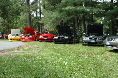 2000 Ford Mustang - A line of Ford Mustang GTs, mostly red and black, are parked on grass with their hoods open, showing off their engines.