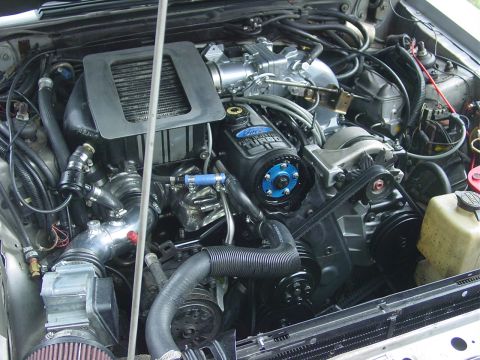 1986 Ford Mustang - Close-up of a Ford 2.3L Turbo engine, a prominent timing belt and blue pulley accents.