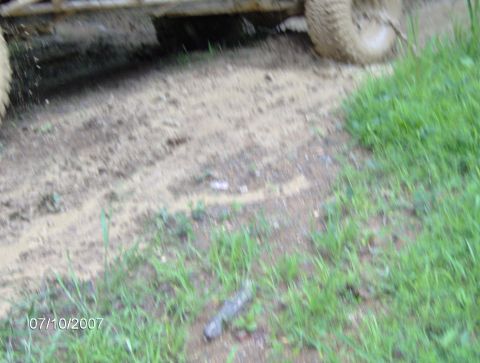 1978 Ford Bronco - An off-road vehicle navigates a muddy path, with grass lining the side of the trail.