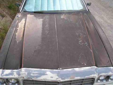 1976 Ford Ranchero - Becky got herself a sunburn, but this too shall pass.