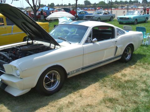 1974 Ford Ranchero - A classic white Ford Mustang GT350 is displayed at an outdoor event with its hood up, showing the engine.