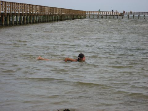 1986 Ford Bronco - A person swims in the ocean with a long wooden pier in the background.