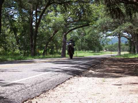 2003 Suzuki Bandit S - A motorcycle travels down a tree-lined road.