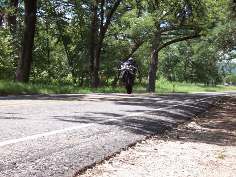 2003 Suzuki Bandit S - A motorcycle rides down a tree-lined road.