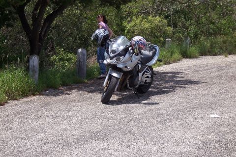 2003 Suzuki Bandit S - Silver 2003 Suzuki Bandit S motorcycle parked on a gravel lot next to some greenery.