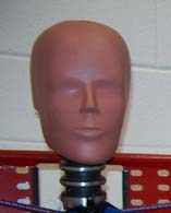 1971 Ford Ranchero - A close-up view of a crash test dummy's head, positioned for impact testing.