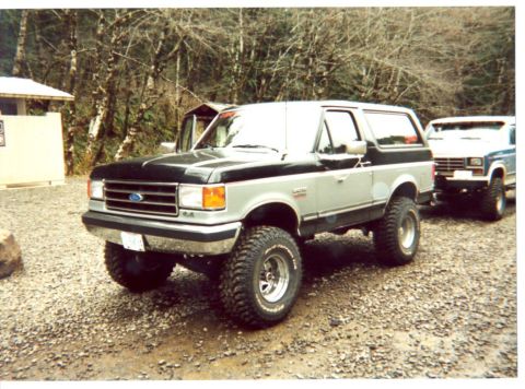 1989 Ford Bronco - I like my truck