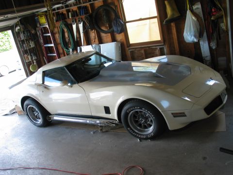 1981 Chevrolet Corvette photo