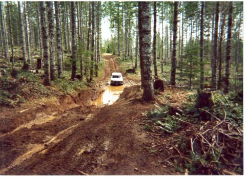 1989 Ford Bronco - The mud hole we found just outside of Browns camp