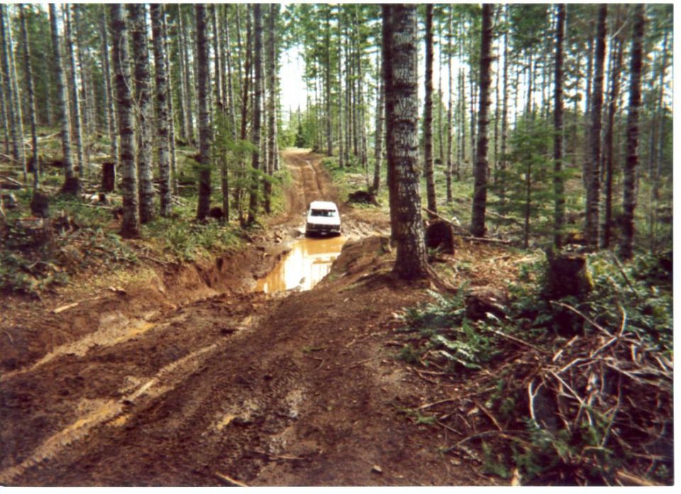 The mud hole we found just outside of Browns camp