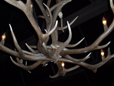 1972 Ford Ranchero - A chandelier made of numerous deer antlers is illuminated by small bulbs.
