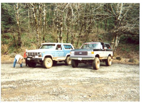 1989 Ford Bronco - She is trying to figure out how much this one will cost!!
