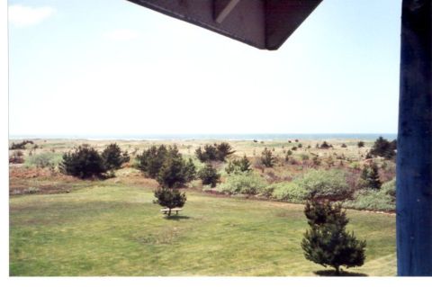 1989 Ford Bronco - The veiw out from our deck