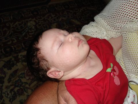 2000 Ford Crown Victoria - A baby sleeps peacefully while being held, wearing a red shirt adorned with a cherry pattern.
