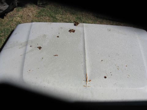 1989 Ford Bronco - The hood of a vehicle is shown with scattered leaves and signs of rust.