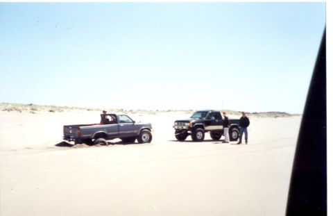 1989 Ford Bronco - We ended up pulling out some toyotas, in addition to 1500 lbs of garbage
