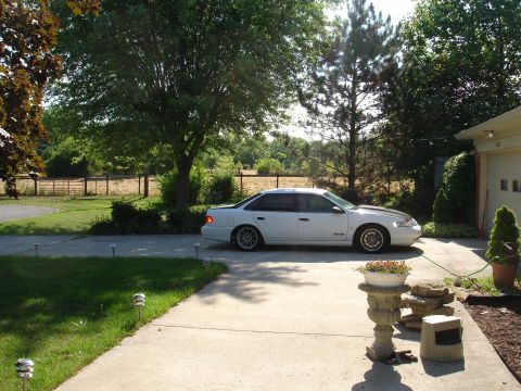 1993 Ford Taurus - A white 1993 Ford Taurus sedan is parked in a driveway next to a garage on a sunny day.