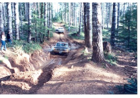 1989 Ford Bronco - And Romp on it!!