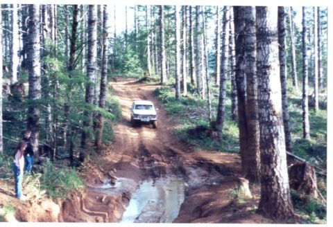1989 Ford Bronco - Here he comes