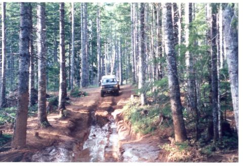 1989 Ford Bronco - Now back the other way