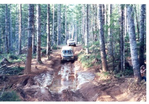1989 Ford Bronco - Drop it in the hole....