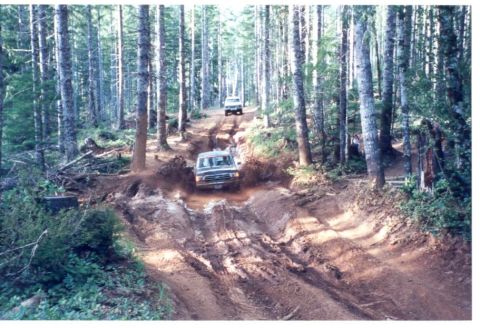 1989 Ford Bronco - And mash it to the floor!!