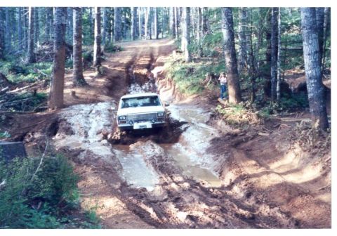 1989 Ford Bronco - No problem