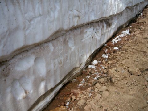 1993 Ford Bronco - Belle's writings in the snow bank