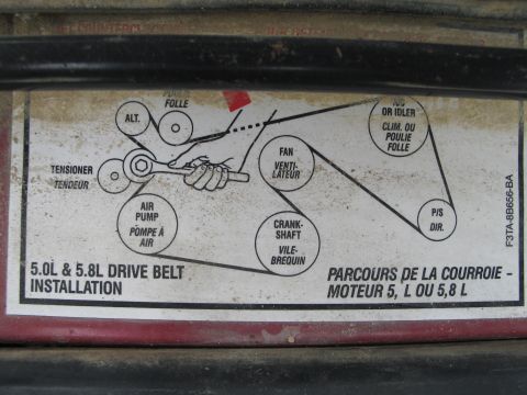 1995 Ford Bronco - Underhood sticker details drive belt routing for 5.0L and 5.8L engines.