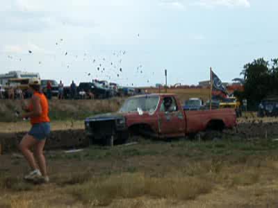 1980 Ford F-250