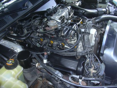 1996 Ford Crown Victoria - The engine bay of a 1996 Ford Crown Victoria is captured in this detailed photograph, revealing the complex network of components.