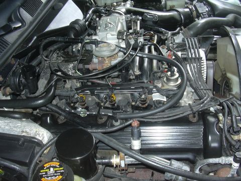 1996 Ford Crown Victoria - Close-up view of a vehicle's engine bay, showing various components and wiring.
