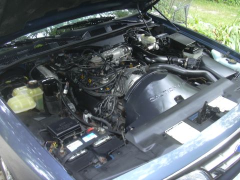1996 Ford Crown Victoria - The engine bay of a blue vehicle is visible with the hood open, revealing various mechanical parts and fluids.