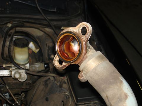 1998 Ford Crown Victoria - Close-up of a corroded thermostat housing and hose assembly, with engine components in the background.