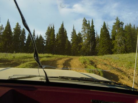1989 Ford Bronco - My turn to go up the hills. not that steep, but long and dusty